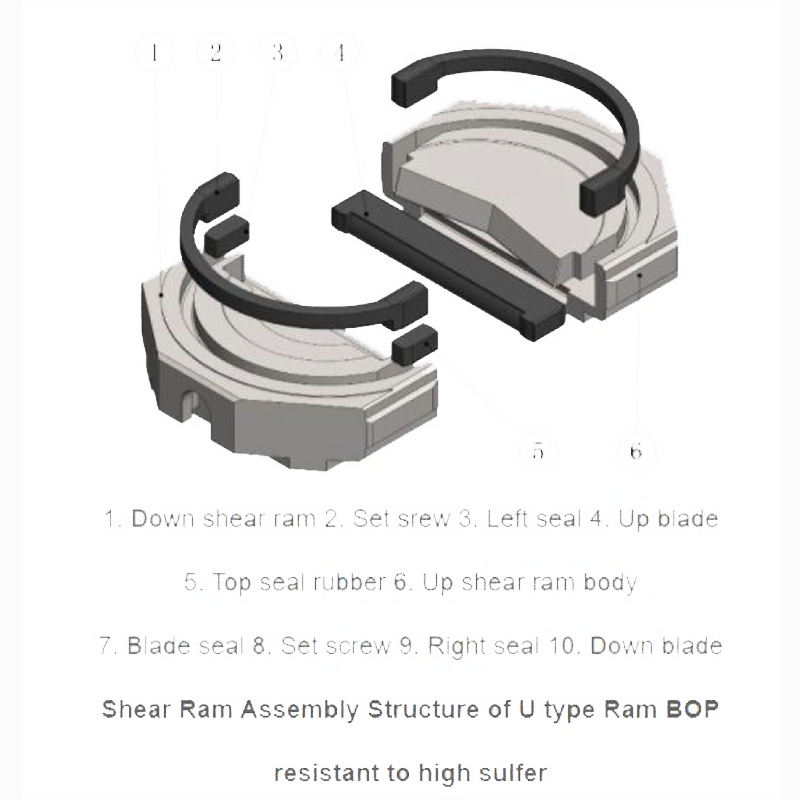 S Type Shear Ram Assembly (2)